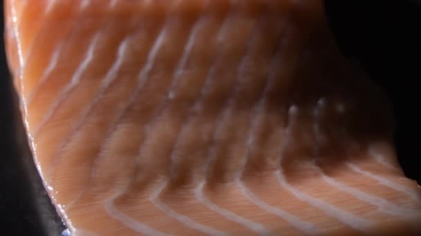 Pink Raw Salmon Fillet Steak Intimate Light — Stock video