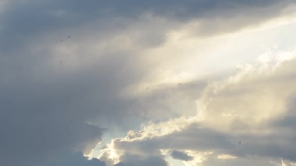 Slikt Zwemt Een Bewolkte Lucht Bij Zonsondergang — Stockvideo