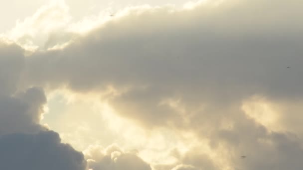 Puesta Sol Con Nubes Cielo Con Aves Volando — Vídeo de stock