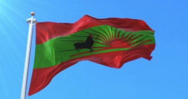 Unita bayrağı. Angola 'nın Bağımsızlığı Ulusal Birliği. Döngü