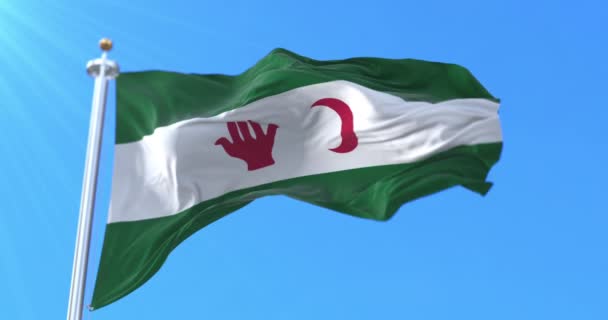 Algerian Nationalists Flag Algeria Loop — Stockvideo