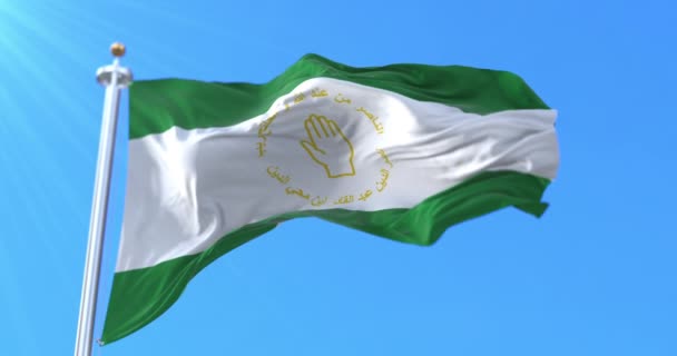 Σημαία Του Εμιράτου Της Mascara Του Εμιράτου Του Abd Qadir — Αρχείο Βίντεο