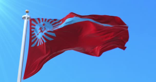Georgiska Ssr Flagga Georgiska Sovjetiska Socialistiska Republiken Ögla — Stockvideo