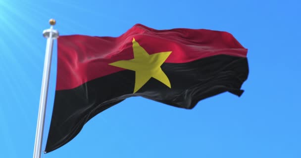 People Movement Liberation Angola Flag Loop — стокове відео