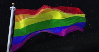 Gökkuşağı bayrağı, LGBT gurur bayrağı, gece yağan yağmur ve karla dalgalanan. Döngü