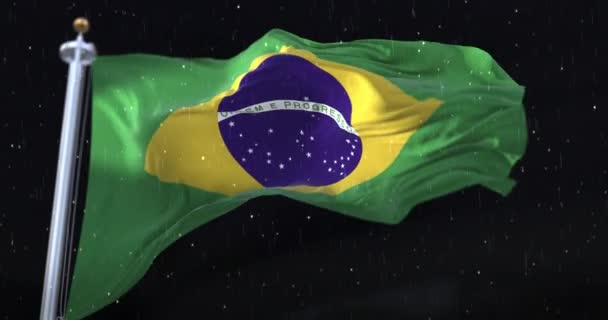 Brazil Flag Waving Rain Snow Night Loop — 비디오