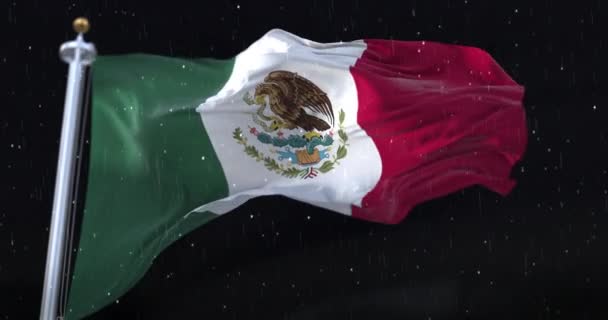 Bandera México Ondeando Con Lluvia Nieve Noche Bucle — Vídeos de Stock