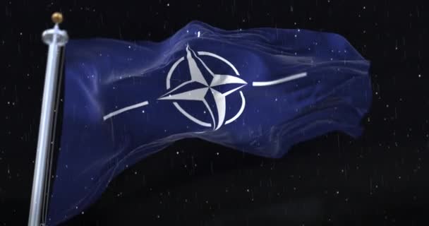 Nato Flag Waving Rain Snow Night Loop — Stok video