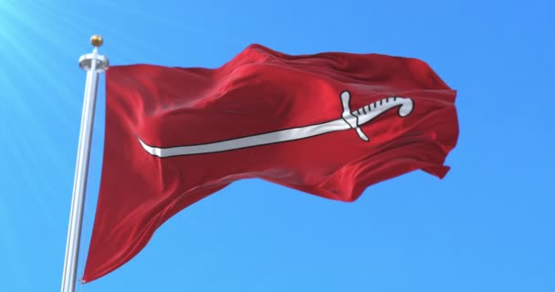 Прапор Абхазії Лихненський Заколот Бунтівний Прапор Петля — стокове відео