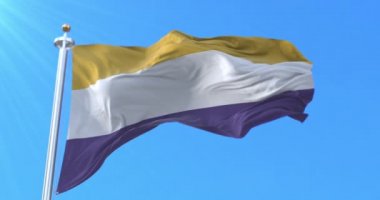 Kadın Suffrage Flag, Amerikan oy hakkı hareketi. Döngü