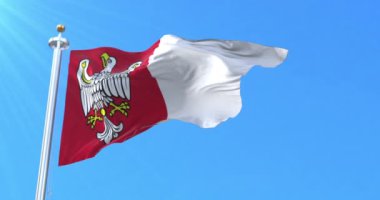 Büyük Polonya Voyvoda bayrağı, Polonya. Döngü