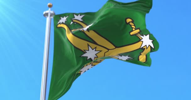 Original Starry Plough Flag Irish Citizen Army Loop — стокове відео