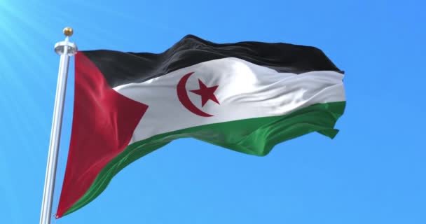 Bandeira República Democrática Árabe Saaraui Laço — Vídeo de Stock