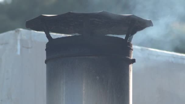 Industrial Chimney Expelling White Smoke — Wideo stockowe