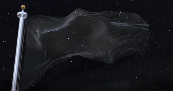 在夜晚 黑旗飘扬着 下着雨和雪 — 图库视频影像