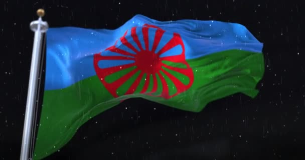 Vlajka Romů Mávající Noci Deštěm Sněhem Smyčka — Stock video