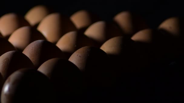 Коричневые Яйца Интимным Светом — стоковое видео