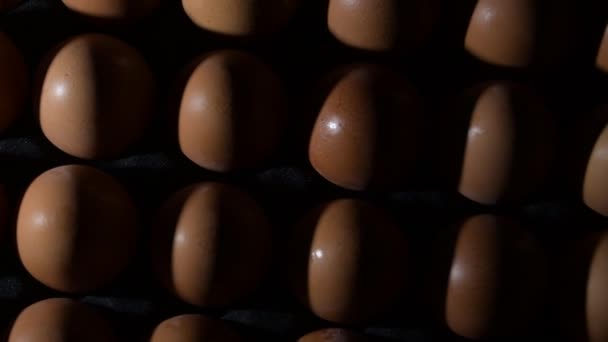 Raw Eggs Gyrating Intimate Light — Stock Video