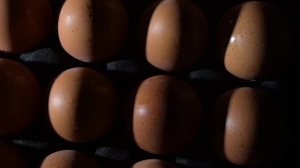 Коричневые Яйца Черном Фоне Интимным Светом — стоковое видео
