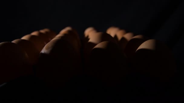 Коричневые Яйца Ряд — стоковое видео