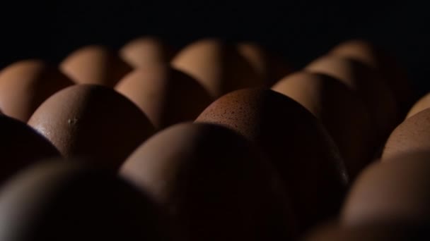 Сырые Коричневые Яйца — стоковое видео