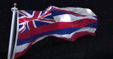 Amerika Birleşik Devletleri 'nin Hawaii bayrağı, gece yağmurlu. Döngü