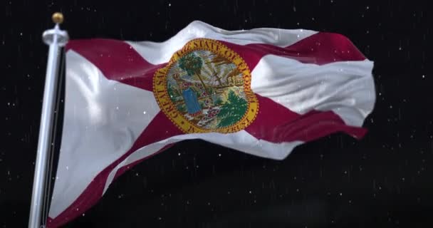 Flag American State Florida United States Rain Night Loop — Stock Video