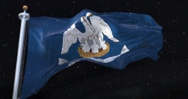 Amerika Birleşik Devletleri 'nin Louisiana eyaletinin bayrağı. Geceleri yağmur yağıyor. Döngü