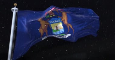 Amerika Birleşik Devletleri 'nin Michigan eyaletinin bayrağı. Geceleri yağmur yağıyor. Döngü