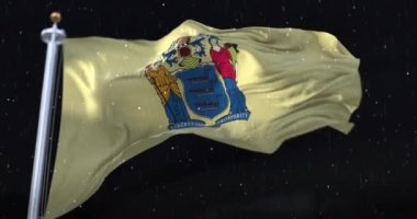 Amerika 'nın New Jersey eyaletinin bayrağı. Geceleri yağmur yağıyor. Döngü