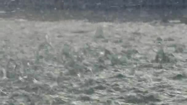 Wassertropfen Fallen Als Regen Einer Pfütze Mit Wucht — Stockvideo