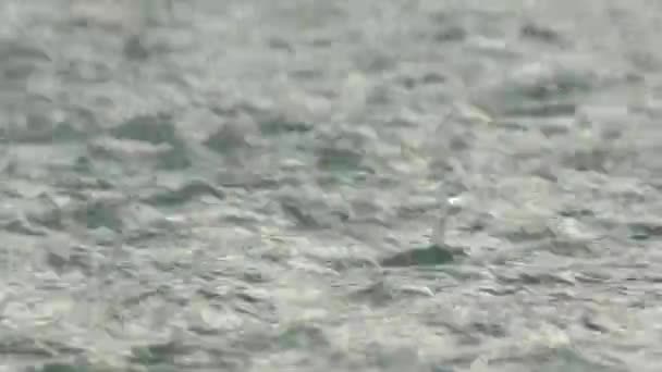 水滴猛然掉进水坑里 — 图库视频影像