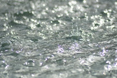 Çamura düşen su damlaları