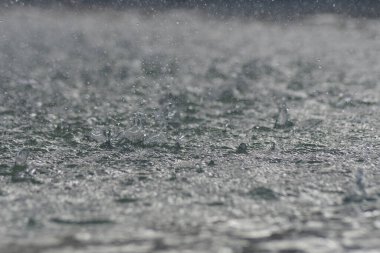 Yağmur damlaları bir su birikintisine düşerken ve sertçe vururken