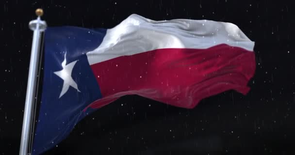 Amerika Birleşik Devletleri Nin Teksas Bayrağı Geceleri Yağmur Yağıyor Döngü — Stok video