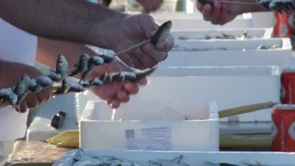 Espeteros Skewering Sardines Sardines Espetos Typical Spanish Food — Stock Video
