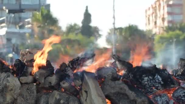 Wooden Logs Burning Popular Barbecue — Vídeo de Stock