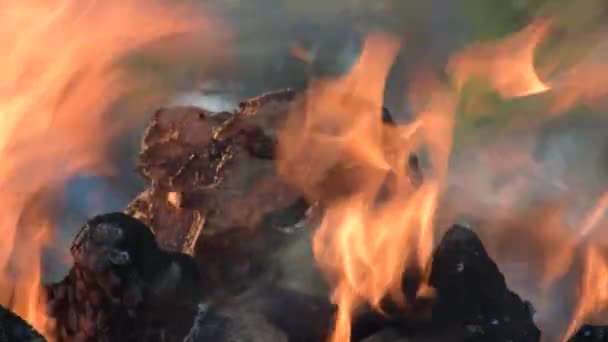 Ξύλινο Κούτσουρο Καίγεται Φωτιά Μπάρμπεκιου — Αρχείο Βίντεο