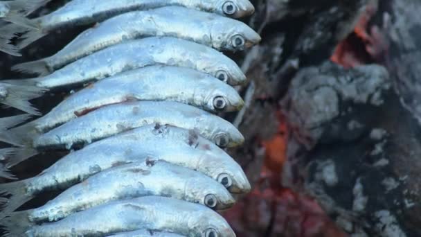 Sardines Espeto Skewer Grilled Fire Popular Moraga — Stock Video