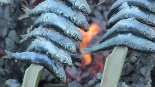 Sardines Espetos Skewers Grilled Fire Popular Moraga — Vídeos de Stock
