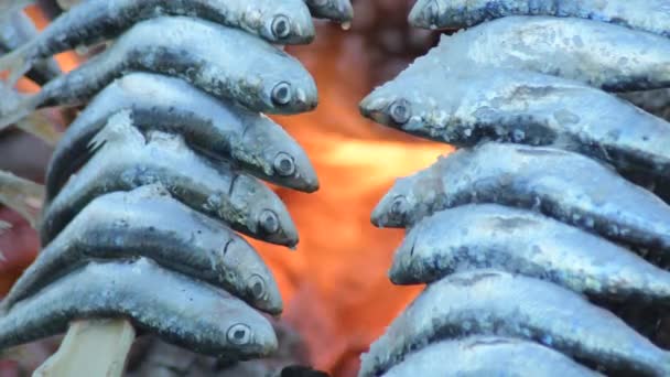 Σαρδέλες Σουβλάκια Espetos Ψημένα Στη Φωτιά Τυπικό Ισπανικό Φαγητό — Αρχείο Βίντεο