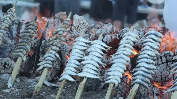 沙丁鱼特别喜欢用通俗的马鞭草烤着的吊车 — 图库视频影像