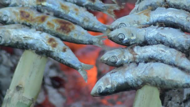 Sardinkové Špejle Ohni Sardinky Espetos Grilované Ohni Typické Španělské Jídlo — Stock video