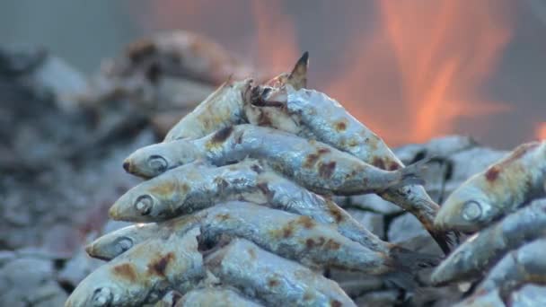Сардины Espetos Шампуры Гриле Огне Типичные Испанские Продукты Питания — стоковое видео