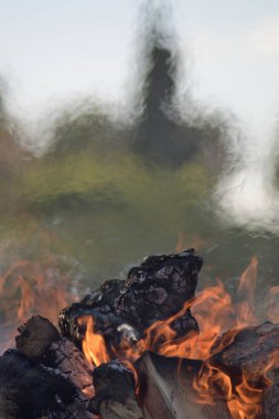 Popüler bir barbeküde yanan ahşap kütükler