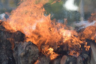 Wooden logs burning in a barbecue outdoor