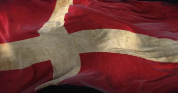 Old Denmark Flag Waving Wind Loop — Stockvideo