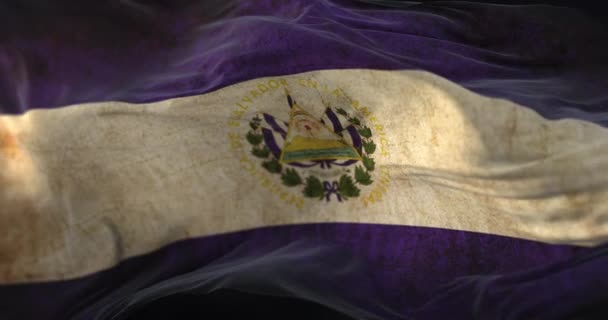 Old Salvador Flag Waving Wind Loop — Vídeo de stock