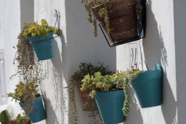 Güneşli bir günde, İspanya, Frigiliana 'da, Endülüs evlerinin kapısında çömlekler.
