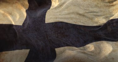 Eski Finlandiya Bayrağı rüzgarda sallanıyor